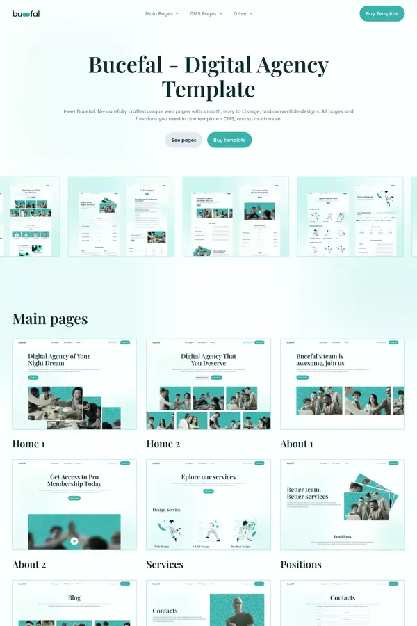Mainpage - Bucefal - Webflow HTML website template - Template design inspiration