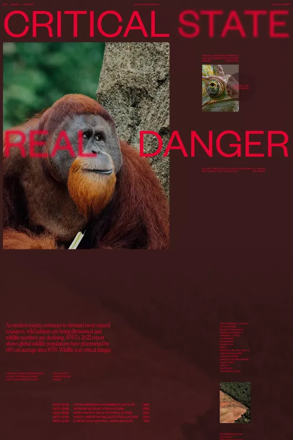 Critical Danger | Supporting Endangered Animals - Other design inspiration