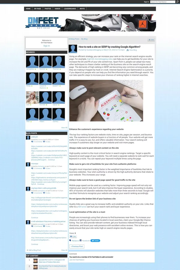 How to rank a site on SERP by cracking Google Algorithm? - Blog design inspiration