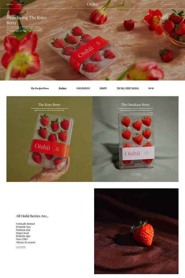 Oishii - Landing design inspiration