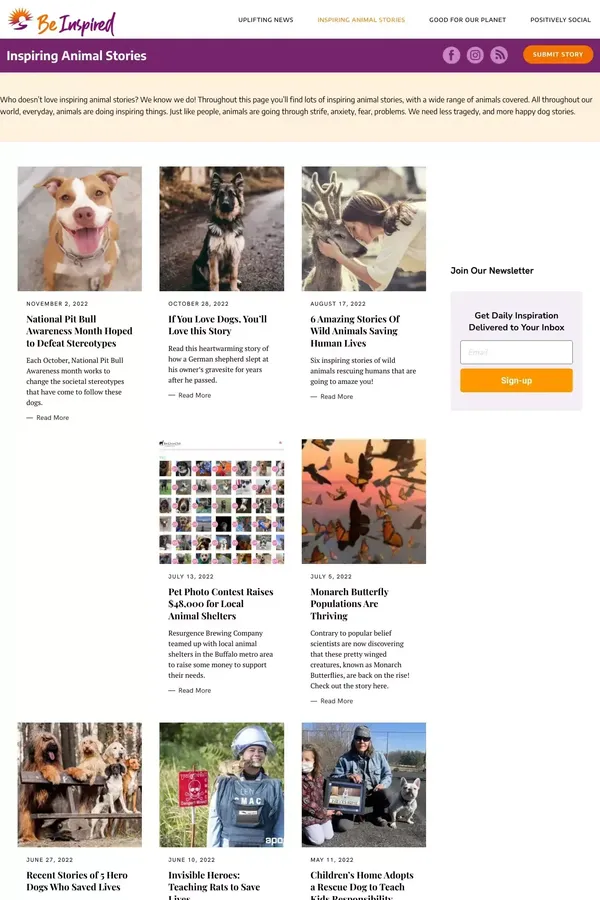 Inspiring Animal Stories | Happy Dog Stories | Be Inspired - Ecommerce design inspiration