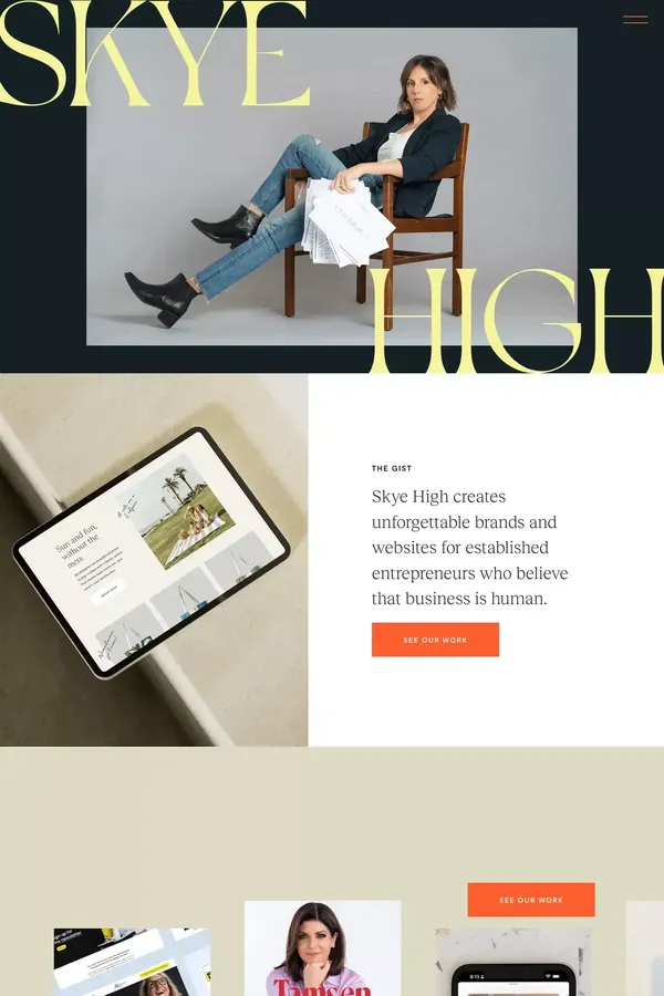 Skye High Interactive - website design inspiration