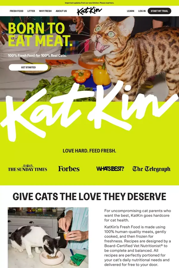 KatKin: Fresh Cat Food. Love Hard. Feed Fresh. - Landing design inspiration