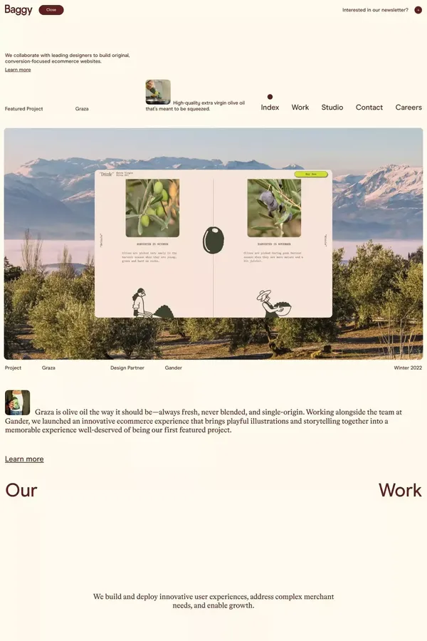 Baggy - Portfolio design inspiration