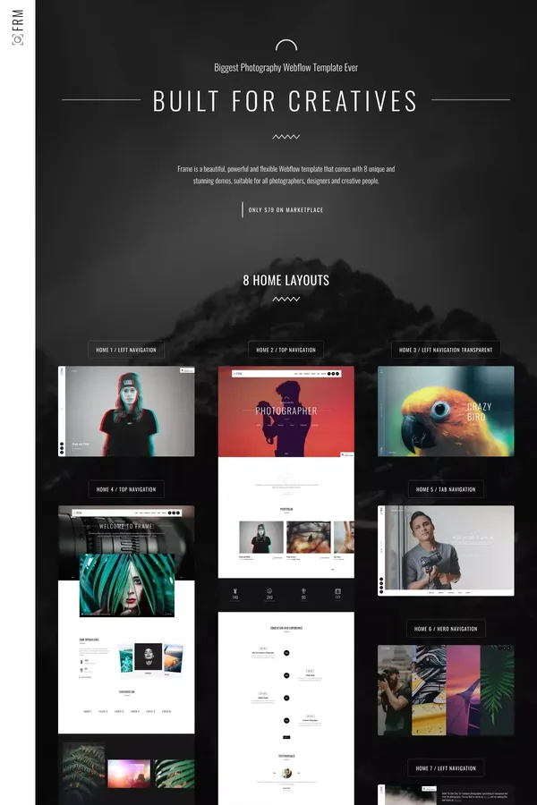 Frame - Webflow HTML Website Template