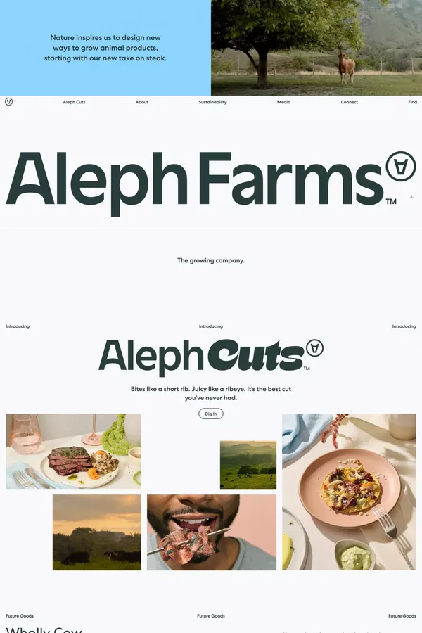 Sustainable, Cultivated Meat. Steak Done Right. | Aleph Farms - Landing design inspiration
