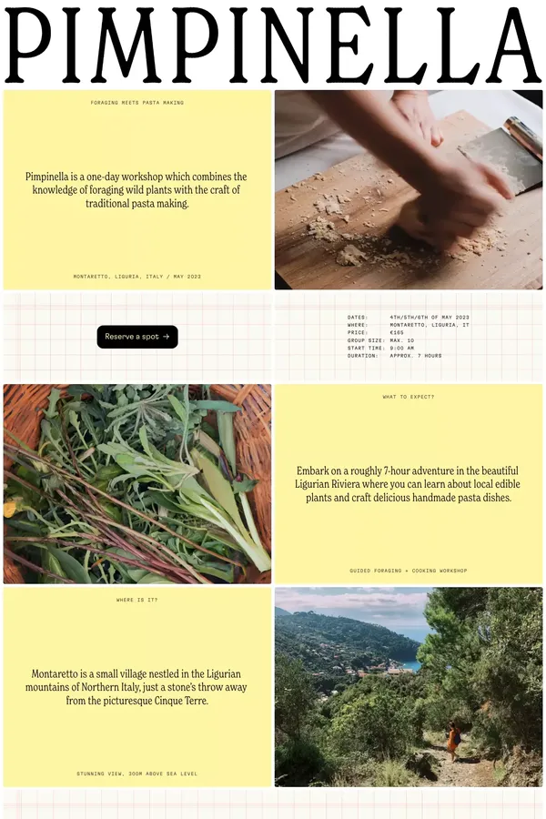 Pimpinella - Other design inspiration