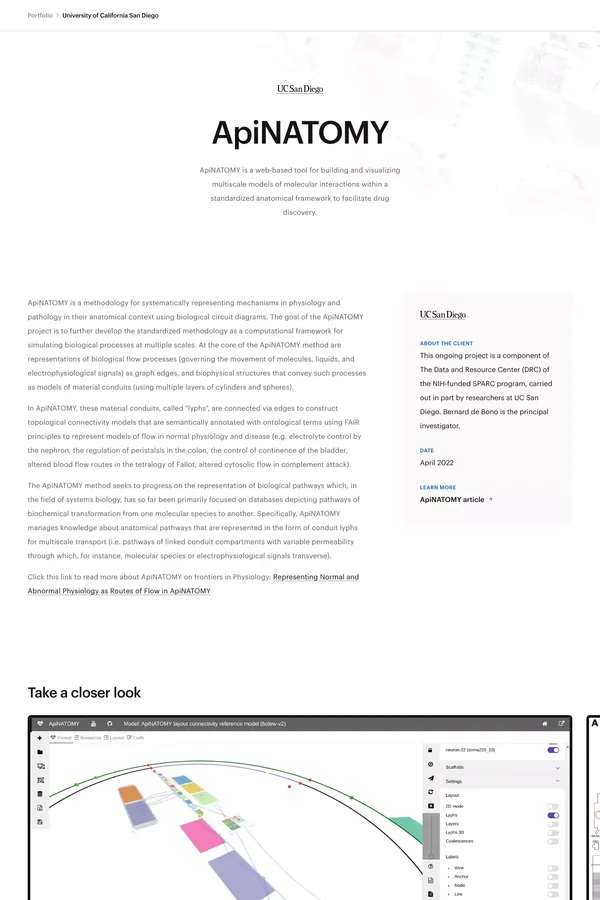 ApiNATOMY | Case Study | MetaCell - Case Study design inspiration