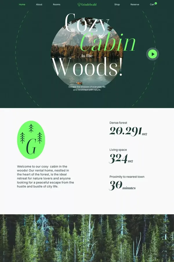 Grindelwald - Webflow Ecommerce website template - Landing design inspiration