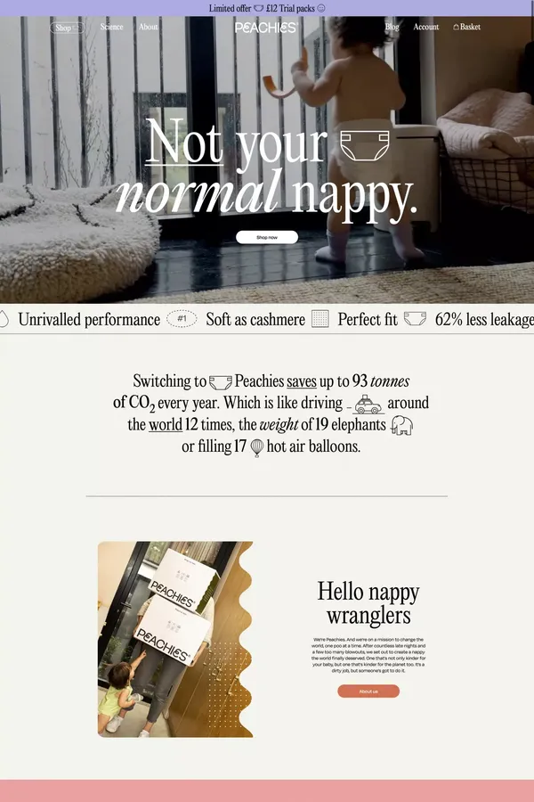 Not your normal nappy - Ecommerce design inspiration