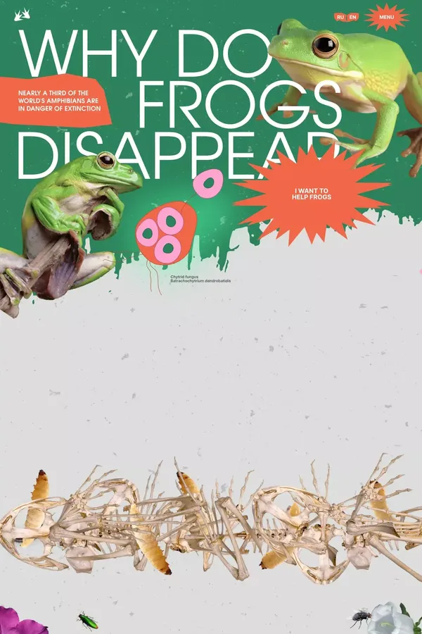 Why do frogs disappear? - website design inspiration