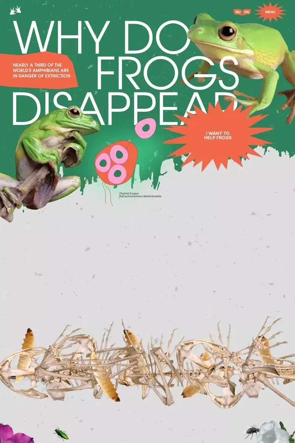 Why do frogs disappear?