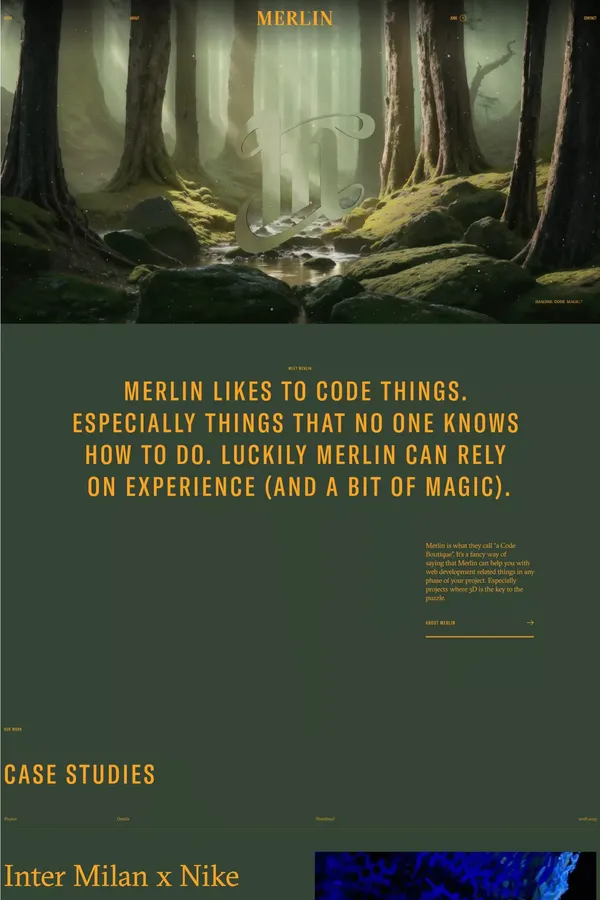 Merlin Studio - Portfolio design inspiration