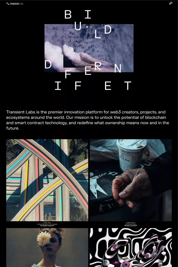Transient Labs - Portfolio design inspiration