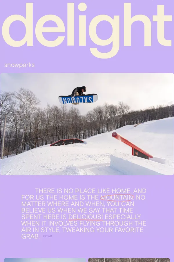 delight snowparks - Other design inspiration