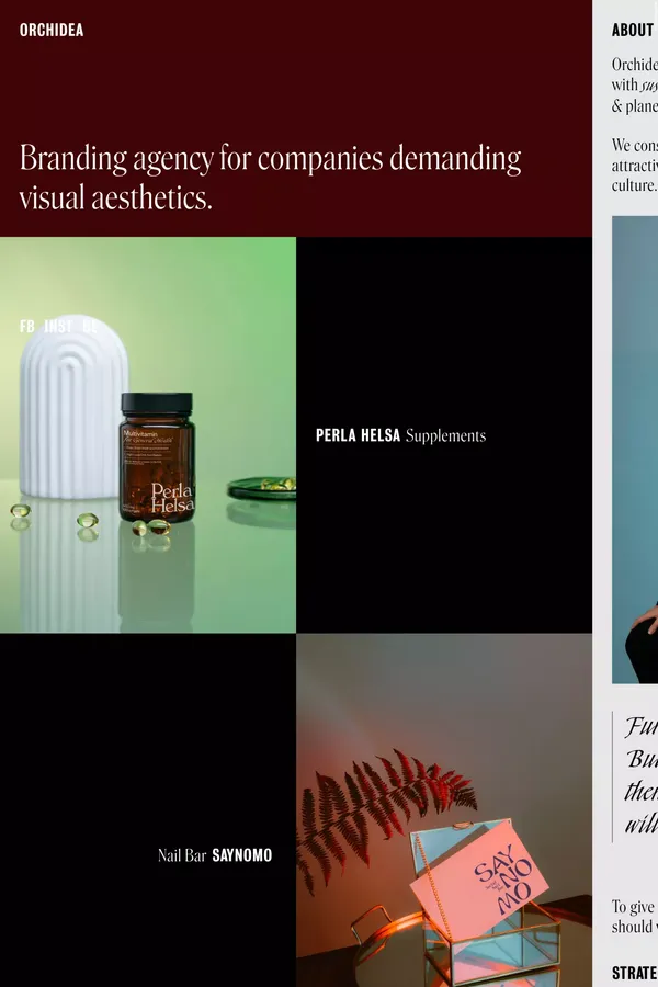 Orchidea Agency - Portfolio design inspiration