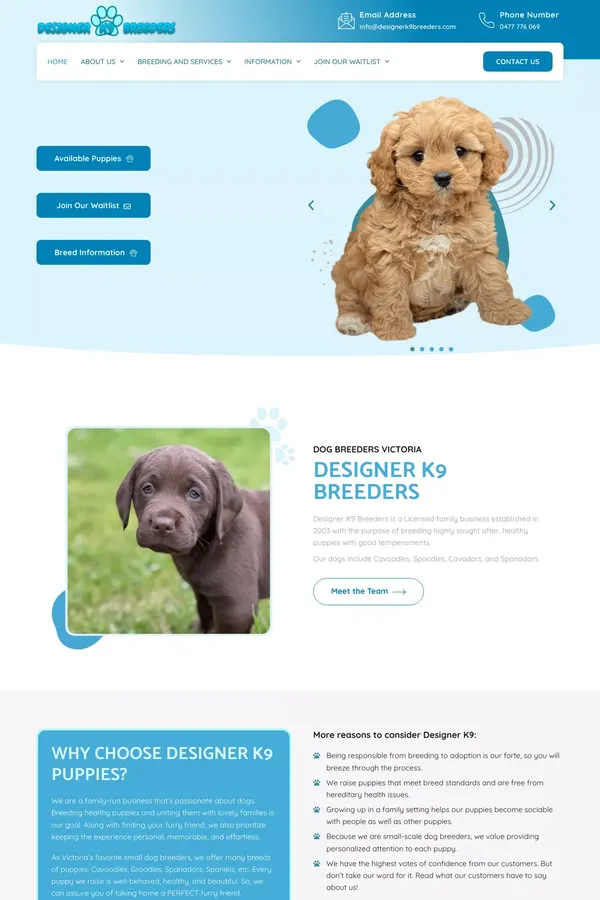 Dog Breeders Melbourne, VIC | Designer K9 Breeders - Other design inspiration