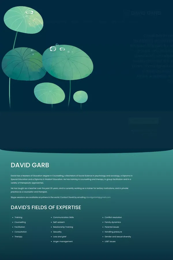 David Garb - website design inspiration