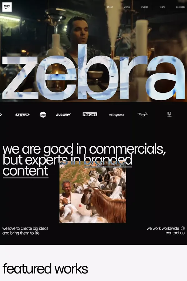 zebra hero - Portfolio design inspiration