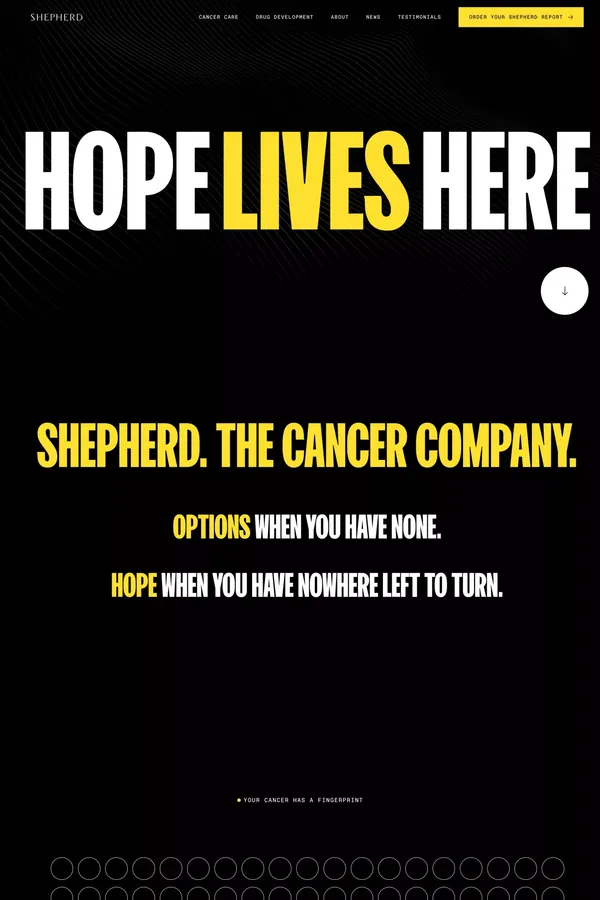 Shepherd — Hope Lives Here - Landing design inspiration