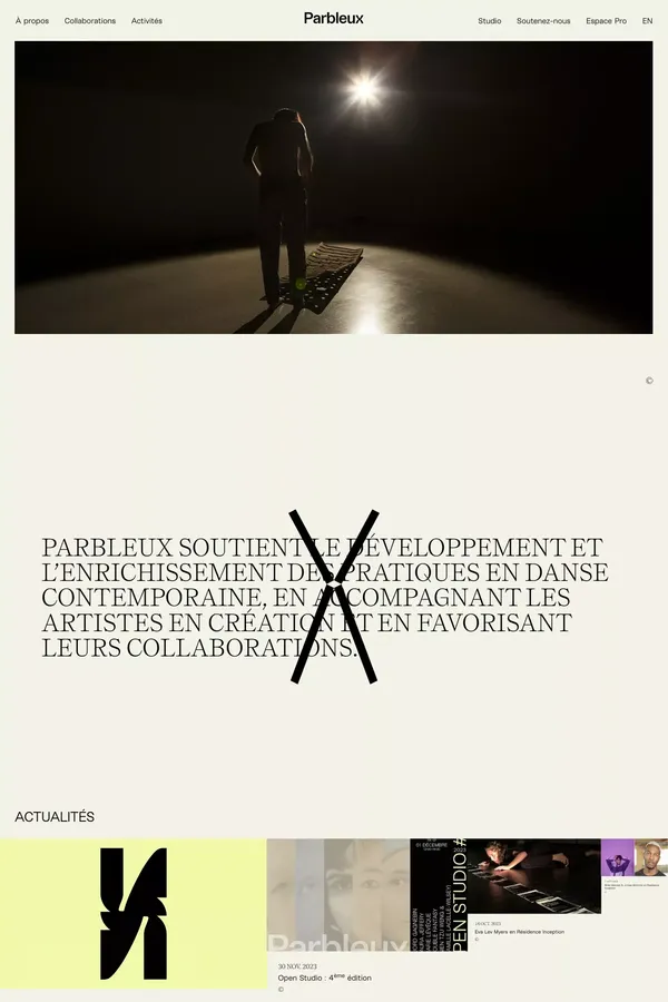 Parbleux - Portfolio design inspiration