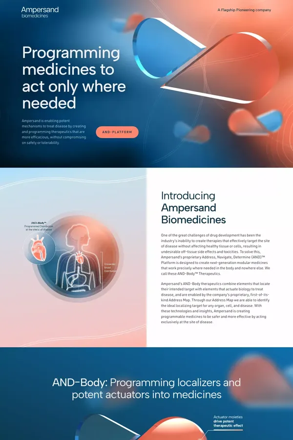 Home - Ampersand