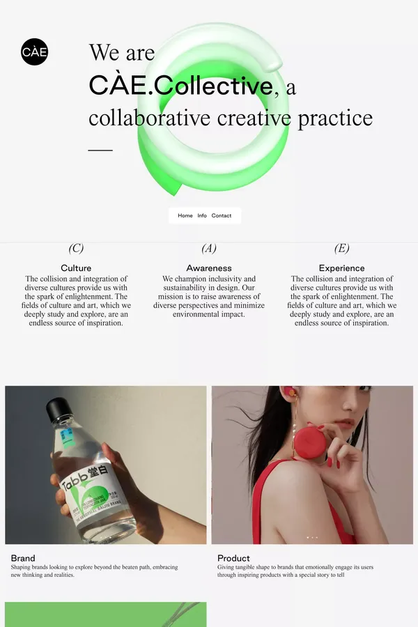 CÃE Collective - Portfolio design inspiration