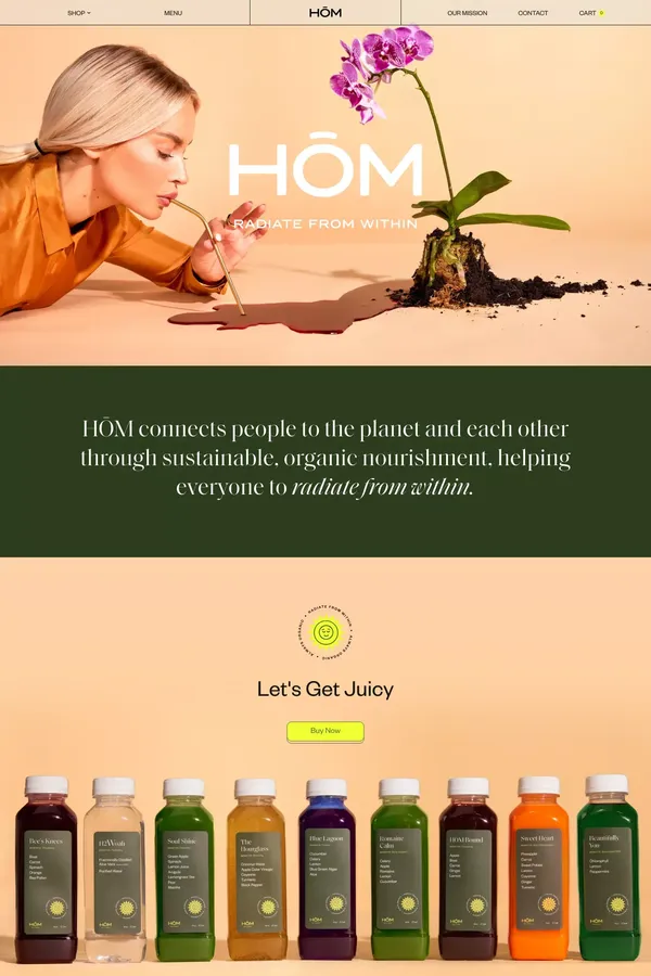 HŌM Wellness - Ecommerce design inspiration