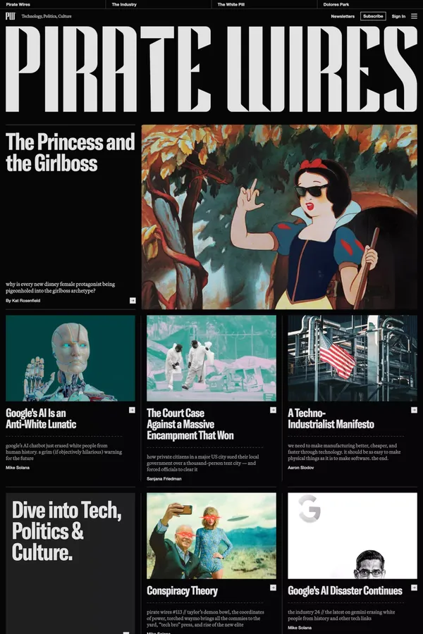 Pirate Wires - Blog design inspiration