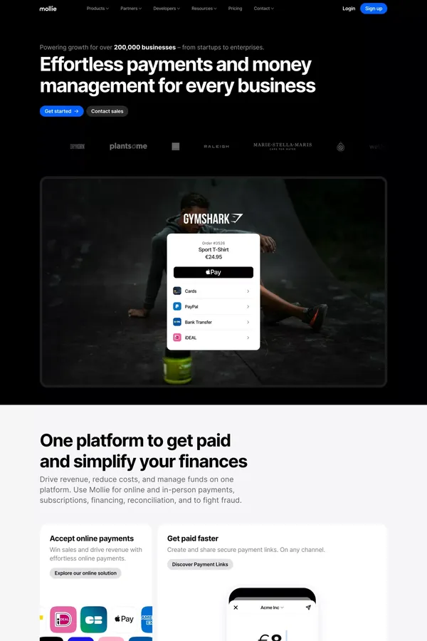 Mollie - Effortless Payments and Money Management - Landing design inspiration