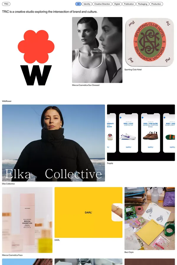 TRiC - Portfolio design inspiration