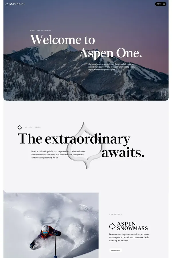 Aspen One