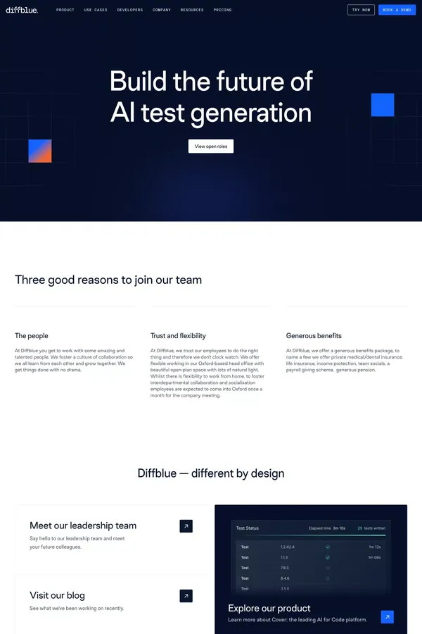 Careers - Diffblue - Career design inspiration