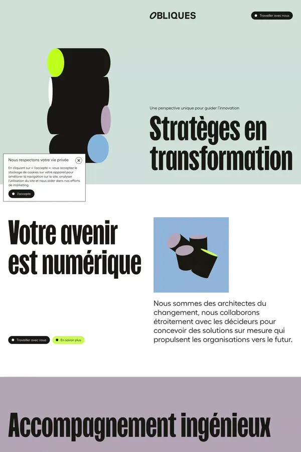 OBLIQUES - Stratèges en transformation numérique - Landing design inspiration