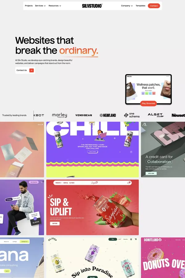 Custom Web Design & Development | Silv Studio Digital Marketing Agency - Landing design inspiration