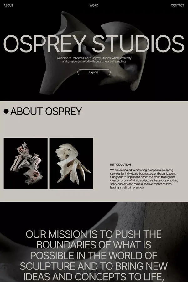 Rebecca Buck's Osprey Studios
