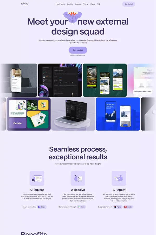 Ecto Design - Efficient subscription-based design service - Landing design inspiration