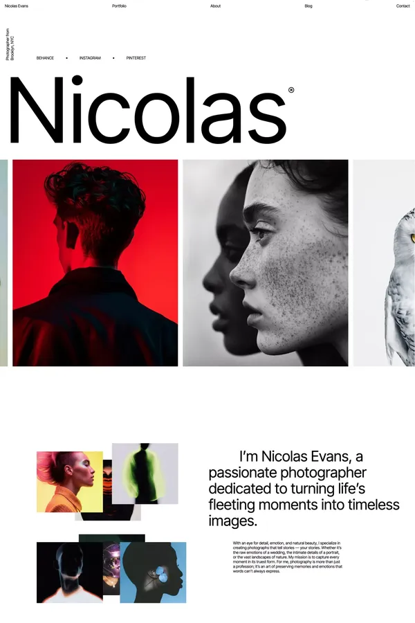 Marinie | Webflow HTML website template - Template design inspiration