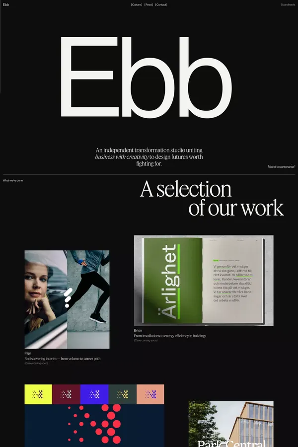 Ebb Scandinavia - Portfolio design inspiration