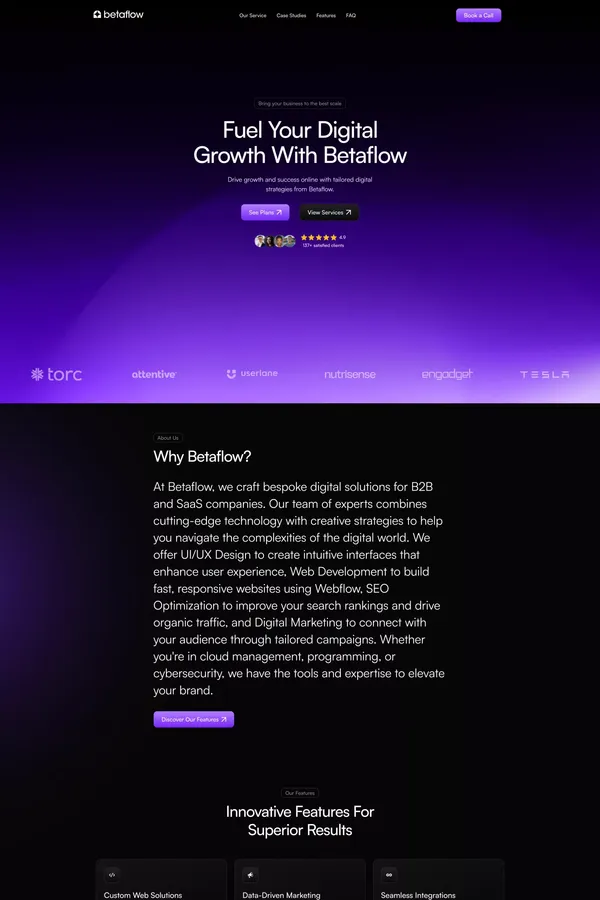 Betaflow | The Digital Marketing Agency That Drives Revenue - Landing design inspiration