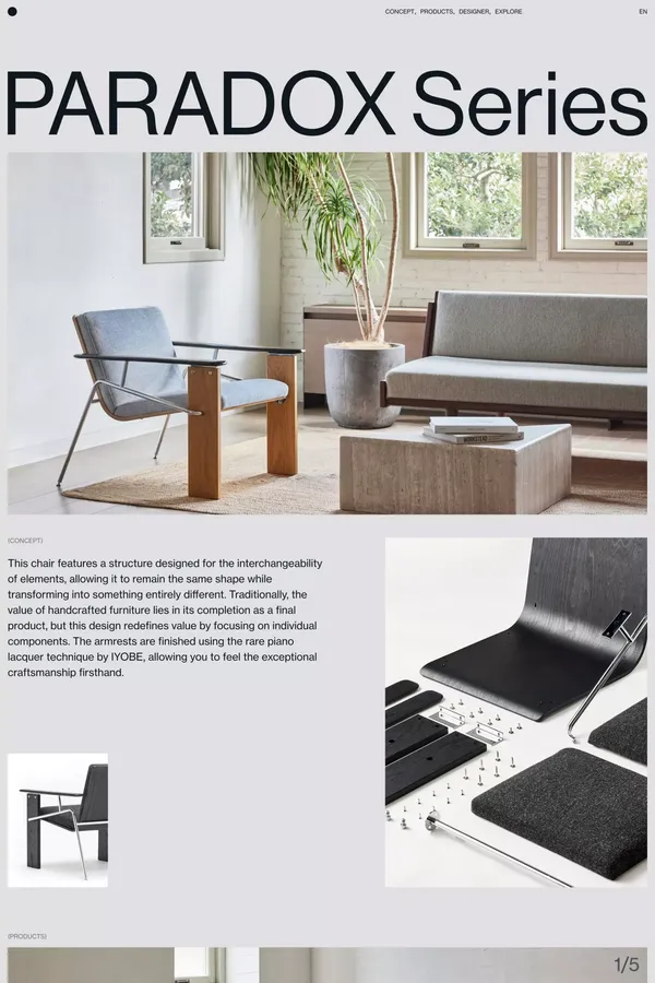 PARADOX Series - Landing design inspiration
