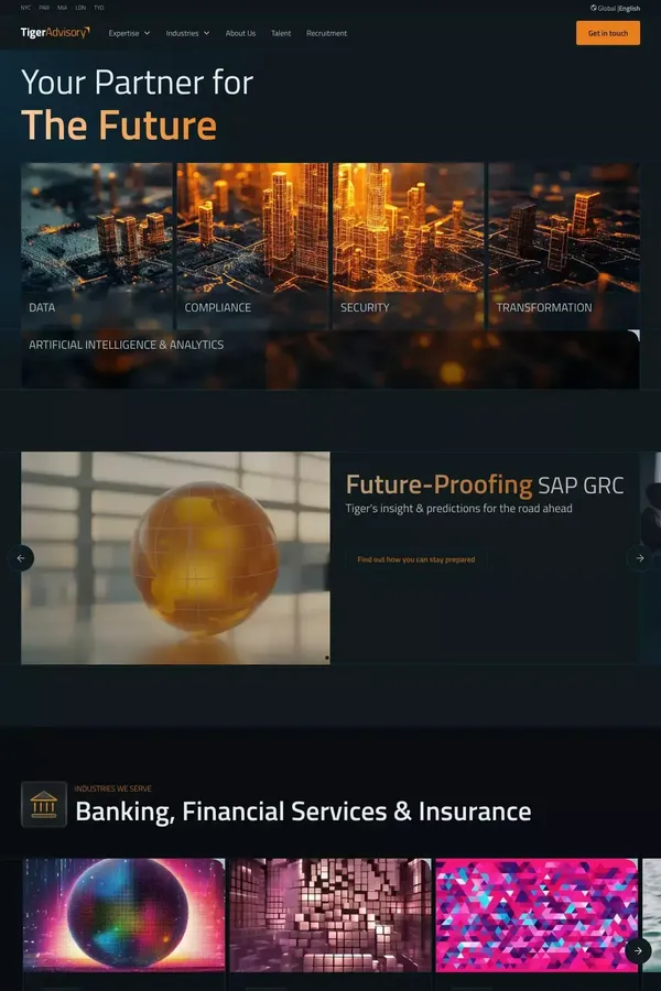 #1 Global Consulting on Data, Compliance & Security ✦ Tiger Advisory