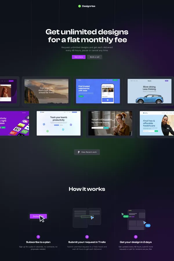 Designrise - Design Partner Subscription