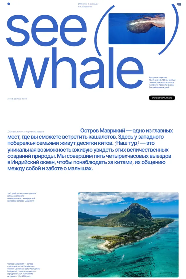 SeeWhale: встреча с китами на Маврикии
