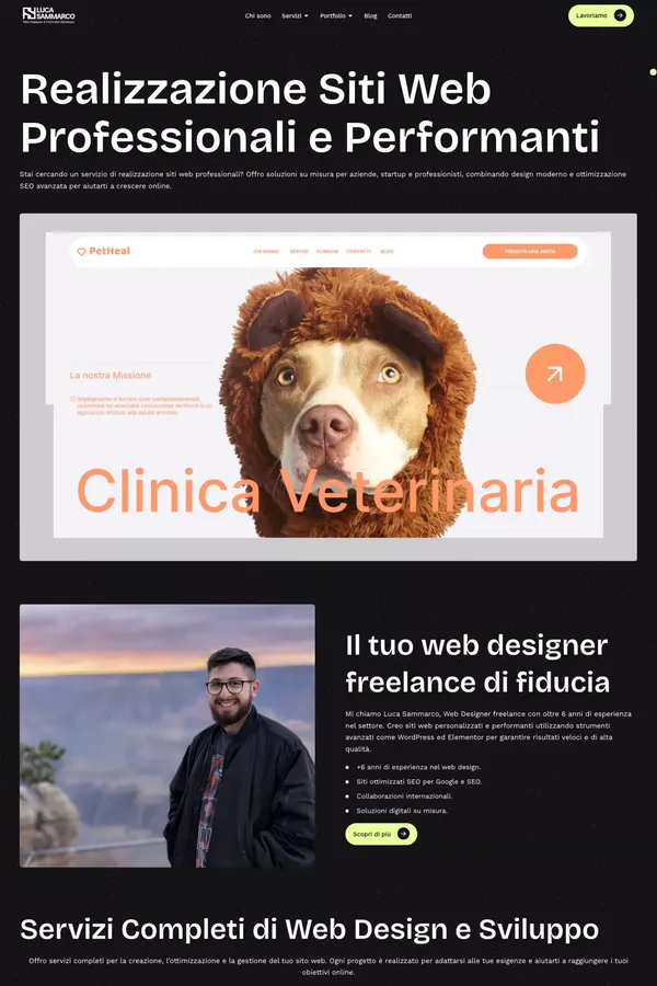 Realizzazione Siti Web Professionali su Misura