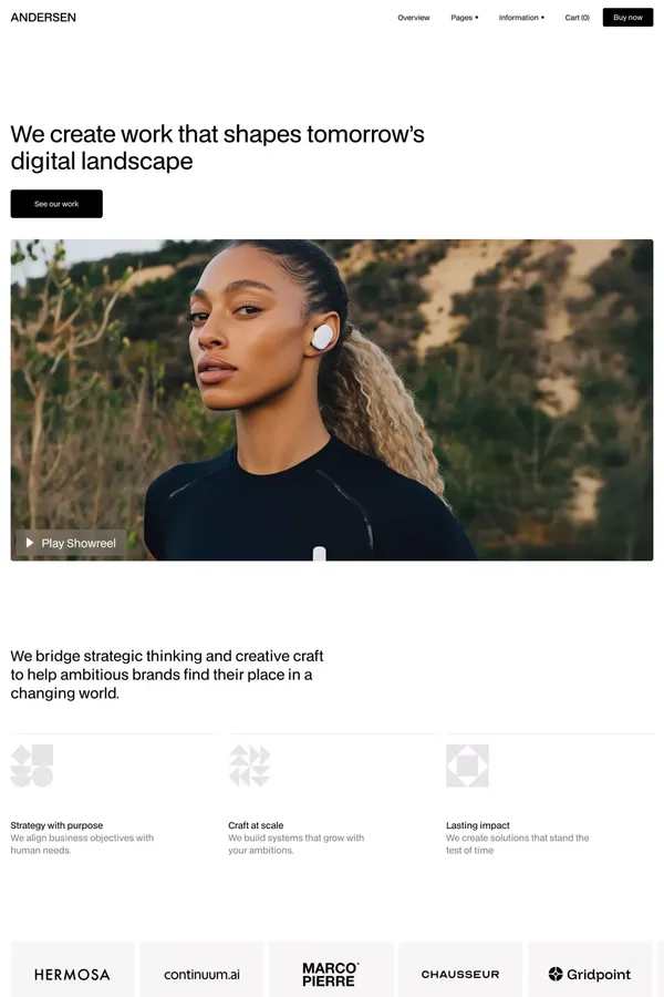 Andersen Website Page Template for Webflow