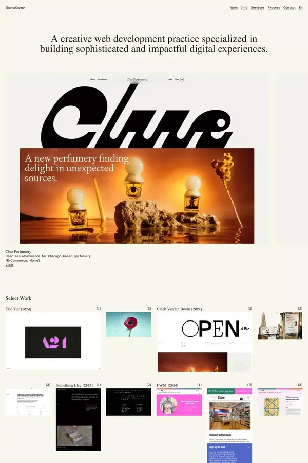 Buena Suerte - Portfolio design inspiration