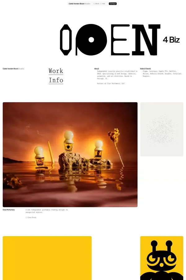 Caleb Vanden Boom Studio - Portfolio design inspiration