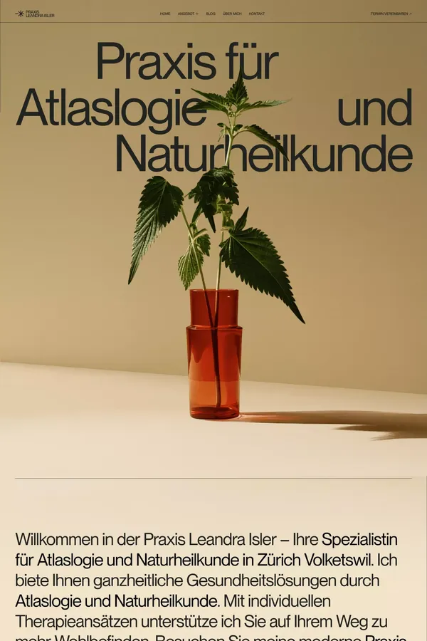 Atlaslogie und Naturheilkunde in Zürich – Praxis Leandra Isler - Landing design inspiration