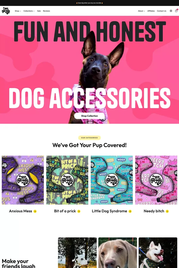 Hey You Pups: Fun and honest dog accessories!